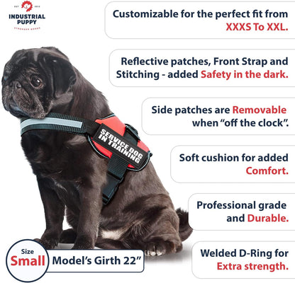 Premium Service Dog Vest Harness - Adjustable Sizes XXS to XXL, Reflective Patch, Comfortable Mesh Design with Handle